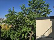 Jugendstil Juwel im Wiener Altbau + 4 Neubau Wohnungen...