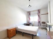 JUNTO PLAZA EINSTEIN