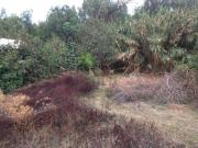 Juriquilla 4787 m2 Factibilidad 20 Casas, Calle Acequia Blan