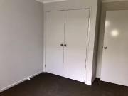 Deal! 10 Allman Street, Cliftleigh, NSW 2321