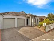 Cheap 16 Hurlingham Way, Craigieburn, VIC 3064