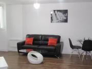 New 1 bedroom flat for rent in One Hagley Road,...