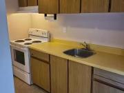 Just in! 1 BR Apartment for rent in Burnaby, Burnaby...