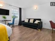 Nice 1 BR Studio apartment for rent in Fitzrovia, London