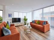 New 3 BR Knight Street