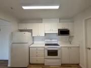 Charming 407 1145 Heffley Crescent, Coquitlam, BC, V3B...