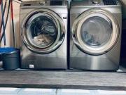 Deal! 59163277 5659 Condor Place #Bsmt