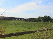 New Foxhill, Cootehall is for rent