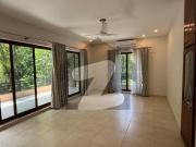 Just like brand New house for Rent F 6