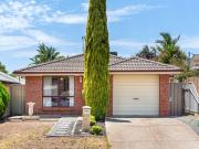 Just the One You've Been Waiting For!