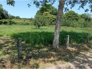 K2INMOBILIARIA VENDE FINCA RUSTICA