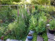 K3! Familienparadies mit weitläufiger Gartenoase in...