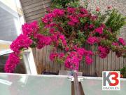 K3 Miete ! TOP Kleinbüro Provisionsfrei in Maxglan... K3 Miete ! TOP Kleinbüro Provisionsfrei in Maxglan...