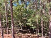 K Colin Reeds Rd, North Augusta, Plot For Sale