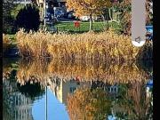 Kaisermühlen Alte donau