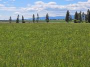Kalispell MT 59901 LS93413309