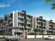 Kalkere 3 BHK Apartment For Sale Bangalore