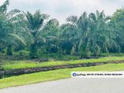 Kampung Jenjarom