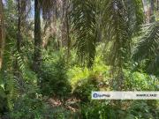 Kampung Sungai Gajah