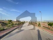 Kanal Back Open Solid Land Heighten Plot In Sector F...