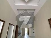 Kanal Ground Portion For Rent Brand New