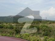 Kanal Plot, Near To Possession, Proper CDA Sector, CDA...