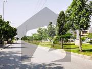 Kanal Solid Back Of Power Avenue Plot For Sale