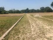 Katara Hills 1800 Sq.Ft. Plot in Katara Hills Bhopal