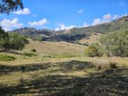 KENDALL HILLS APPROX 455 HECTARES IN LIMBRI