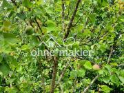 Kernsanierungsobjekt mit iSFP