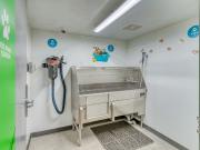 Keswick Green 2 Bedroom Apartment for Rent at 1828 Keene...