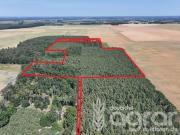 Kiefernmischwald ca. 15ha zw. Brandenburg a.d. Havel und...