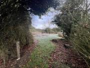 Kilbreedy, Killenaule, County Tipperary P F Quirke & Co...