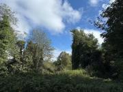 Killinagh, Carbury, Co. Kildare