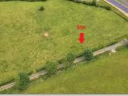 Killynan Pratt Turin, Bracklin, Westmeath