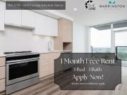 King George Hub Phase C Residential