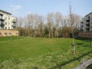 Kingfisher Close, Warwick CV34, 2 bed flat to rent,...
