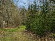 Kinstone Ln, Trenton, Plot For Sale