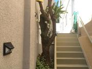 Kitnet ao lado da avenida t2