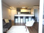 Apto, Chácara Santo Antonio, 1 Quarto, 60 m2 São Paulo