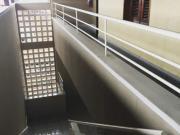 Kitnet com 1 dormitÃ³rio para alugar, 30 mÂ² no bairro Damas