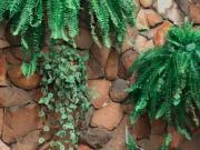 Kitnet mobiliada na Vila Americano do Brasil GoiÃ¢nia GO