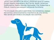Kitnet para aluguel, sem mais gastos, direto com o...