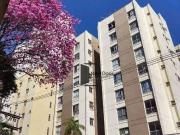 Kitnet / Stúdio para Venda em Campinas/SP Centro 1 Quartos