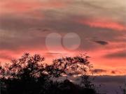 Kitnet / Stúdio para Venda em Niterói/RJ Ingá 1 Quartos