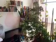 Kitnet / Stúdio para Venda em Rio de Janeiro/RJ Centro