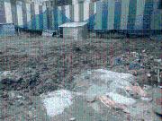 KK Nagar 3 BHK Apartment For Sale Chennai