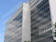 KLE!N Provisionsfrei Helle und freundliche Arbeitsatmosphäre