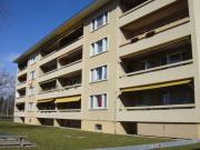 Kleine aber feine Wohnung in Uster!