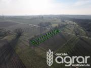 Kleine Ackerfläche ca. 1.622 m² im Nordosten von...